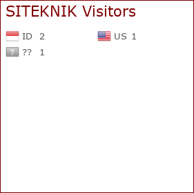 Visitor Flag Counter